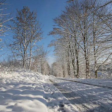 Welcome In - 'sahneblick' Mit Balkon Und Abstellraum, In Der Naehe Der Skipisten Winterberg